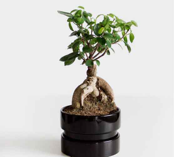 手机号轰炸业务网